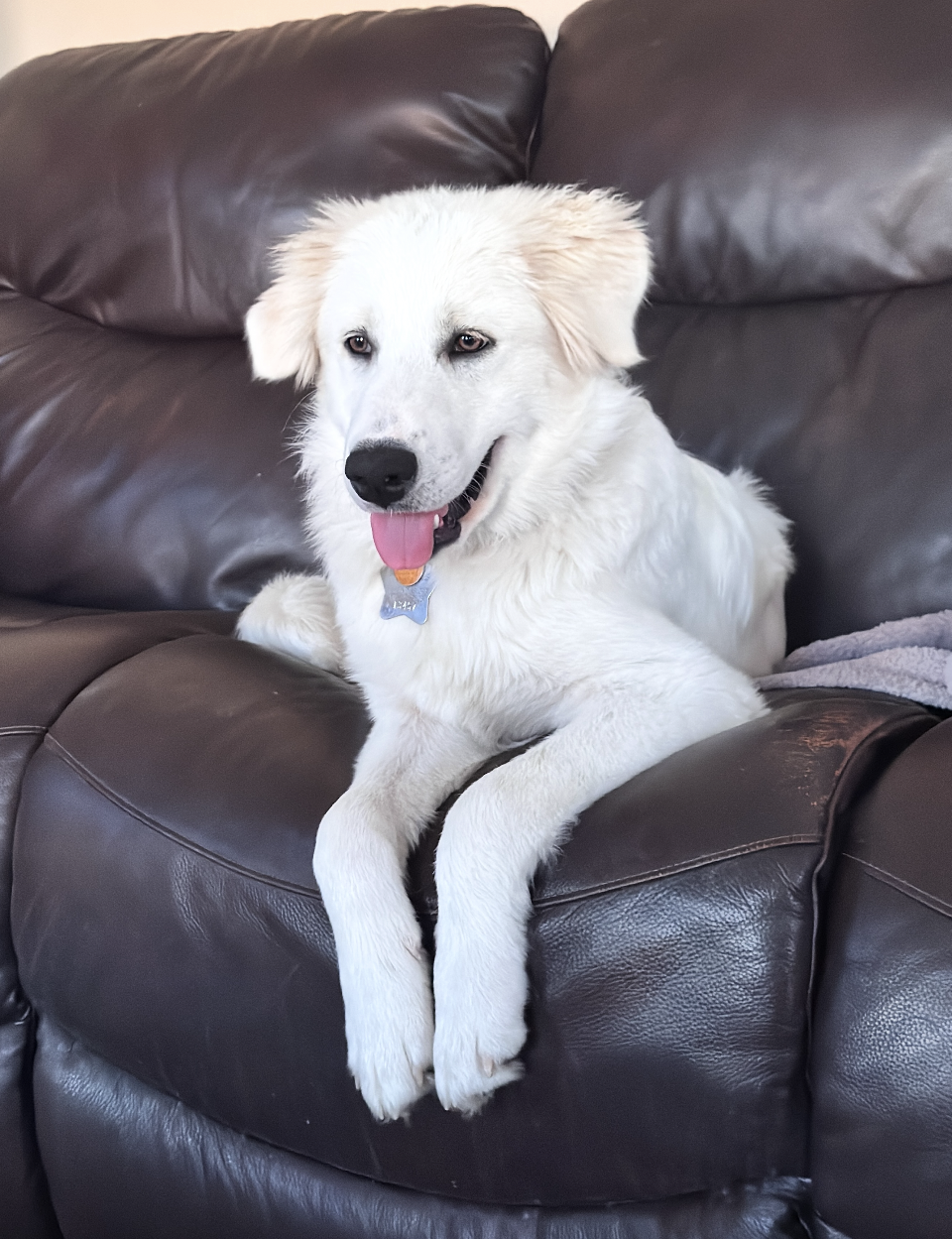 Zoe